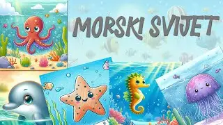 Morski Svijet-Morske Životinje-Edukativni Video Za DJecu Jasličke Dobi 🐠🦑