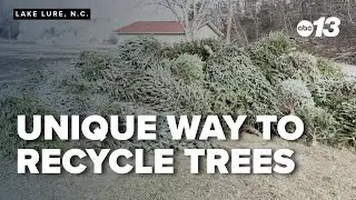 Town asks for discarded Christmas trees to drop in its lake