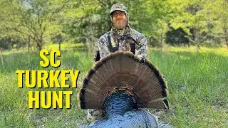 South Carolina Turkey Hunt! #theparttimehunters #turkeyhunting #gobblegobble