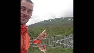Vandringsdag 3 & 4 - Tillbaka till Abisko Turiststation och till Nuolja