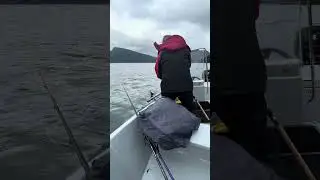Angeln am Romsdalfjord 2023