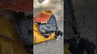 cold bitumen emulsion pot hole repair #potholerepair #potholes #kasamacademy