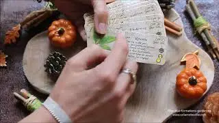 Le petit oracle et grimoire de magie