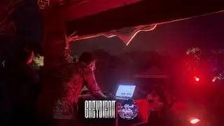 GREYDIENT Live at Bloom In Green Festival