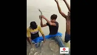 Big Rohu Fish Sampling, Checking, Sorting And Shifting 🐟🐟...