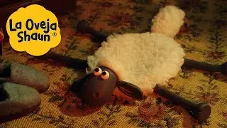 La Oveja Shaun 🐑 Alfombra de oveja, pero viva. 🐑 Dibujos animados para niños