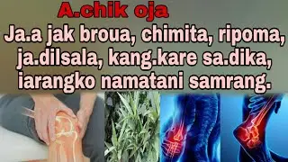 No.50))Ja.a jak chimita, broua, ripoma, ja.dilsala iarangko namatani samrang| Garo videl