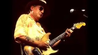 Jimmy Thackery And The Drivers - Detroit Iron