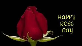 Happy rose day best song 2020,,,Rose day 7th February 2020 whatsapp status video valentine day