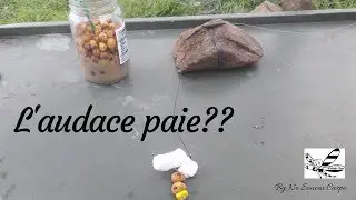 L'audace paie??