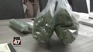 Proposal 1 passes in Michigan legalizing recreational marijuana