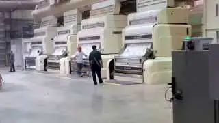 Cotton Seed Separator
