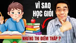 Vì Sao Con Học Giỏi Nhưng Vào Thi Lại ‘Quên Sạch’ ? Ai Cũng Nên Xem !