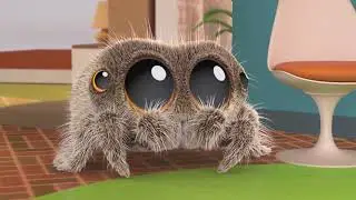 Lucas the Spider Has Roommate Problems + More Cartoons for Kids
