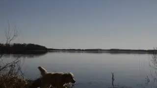 Ringsj&ouml;n 2017