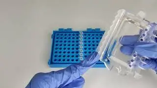 Labteamet - CAPP PCR Decapping Tool 5100452C