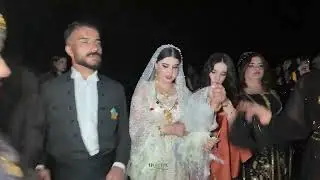 Şenoba Mizgin İslam Çiftinin Görkemli Düğünü Klip 3 Uludere Düğünleri