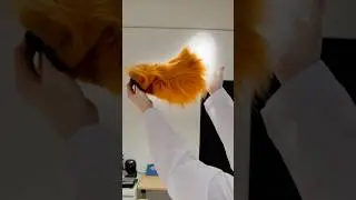 Only thing cuter than a #babyfox is their tails! 🦊 Imaging #customized #fox tails you can wear out!