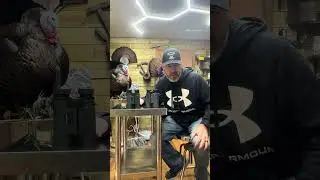 New Sig Sauer Kilo Canyon vs Vortex Fury 5000 HD. Rangefinding binocular review