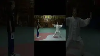 Grandmaster Walter Toch with application selfdefense Taiji Chen www.shaolin.be