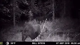 After the hunt camera lost & found