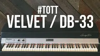 #TOTT - Velvet / DB-33 - Rhodes & Organ House Chord Stabs