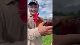 RSC GAMEFARM | CATACTE, BUSTOS BULACAN