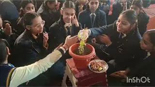 DIKSHA RISING STAR PUBLIC SCHOOL, Haridwar celebrated Tulsi Pujan Divas! 