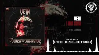 Vein - I Am King (Future Sickness Records)