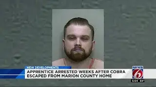 Apprentice arrested after cobra escapes in Ocala