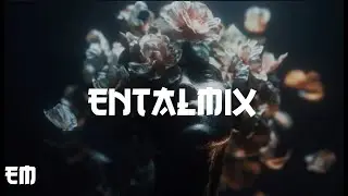 DIECXLD, Prod. 94 - flowers in my head | Trap | EntalMix ( Audio )
