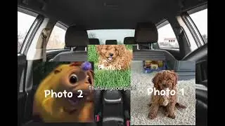 Oh no