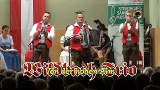 Wildbach Trio  -  Von der hohen Alm
