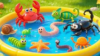 Insects Name | Learn 50 Insects Names for Kids in English | Names of insects  #insects
