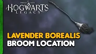 Hogwarts Legacy: Lavender Borealis Broom Location (New Broom)