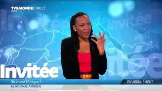 Tchad : comment lutter contre le changement climatique