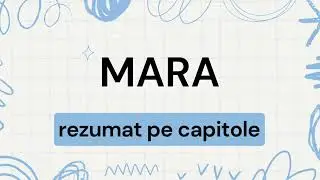 Mara rezumat pe capitole