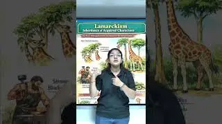 Lamark's theory of Evolution #biology  #getonlineeducation   #cbse12thbiology  #science #evolution