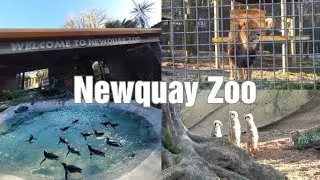 Newquay Zoo - Cornwall 2023
