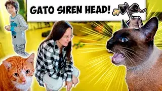 GATO SIREN HEAD INVADIU A CASA - Paulinho e Toquinho Family