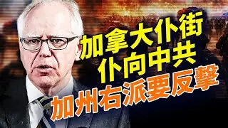 加拿大總理卡尼（Carney）訪華，放生中國電動車入嚟；川普經濟勁到飛起，長紅到暈！