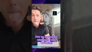Funniest Animal Moments 😂 Screaming Sheep, Copycat Horse & Monkey Fail #shorts