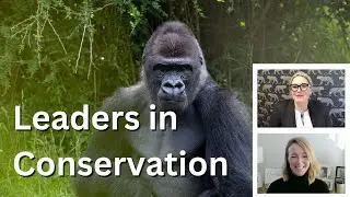 Saving Animals: A Glimpse into Aspinall Foundation's Groundbreaking Work