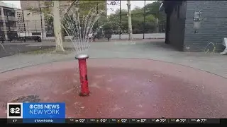 Bronx residents say lack of green spaces make heat waves more extreme