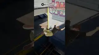 Skate 4 (Skate 2025) Xbox Series X