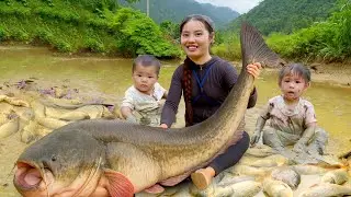 WOW! 1000KG+ Fish Harvest from Giant Pond | Father & Son Market Day