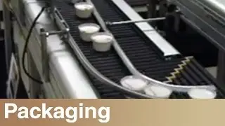 Loose Single Rowing of Ice Cream Cups on a Shuttleworth Conveyor