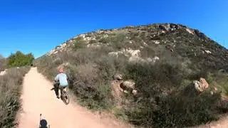 mule hill