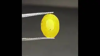 #YellowSafir
