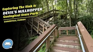 Descending into the Sinkhole!  Discovering the Natural Wonders of Devil&rsquo;s Millhopper in Gainesville!